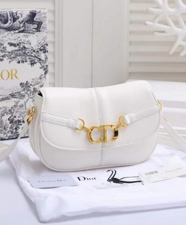 DIOR cd besace bag 145(BR)