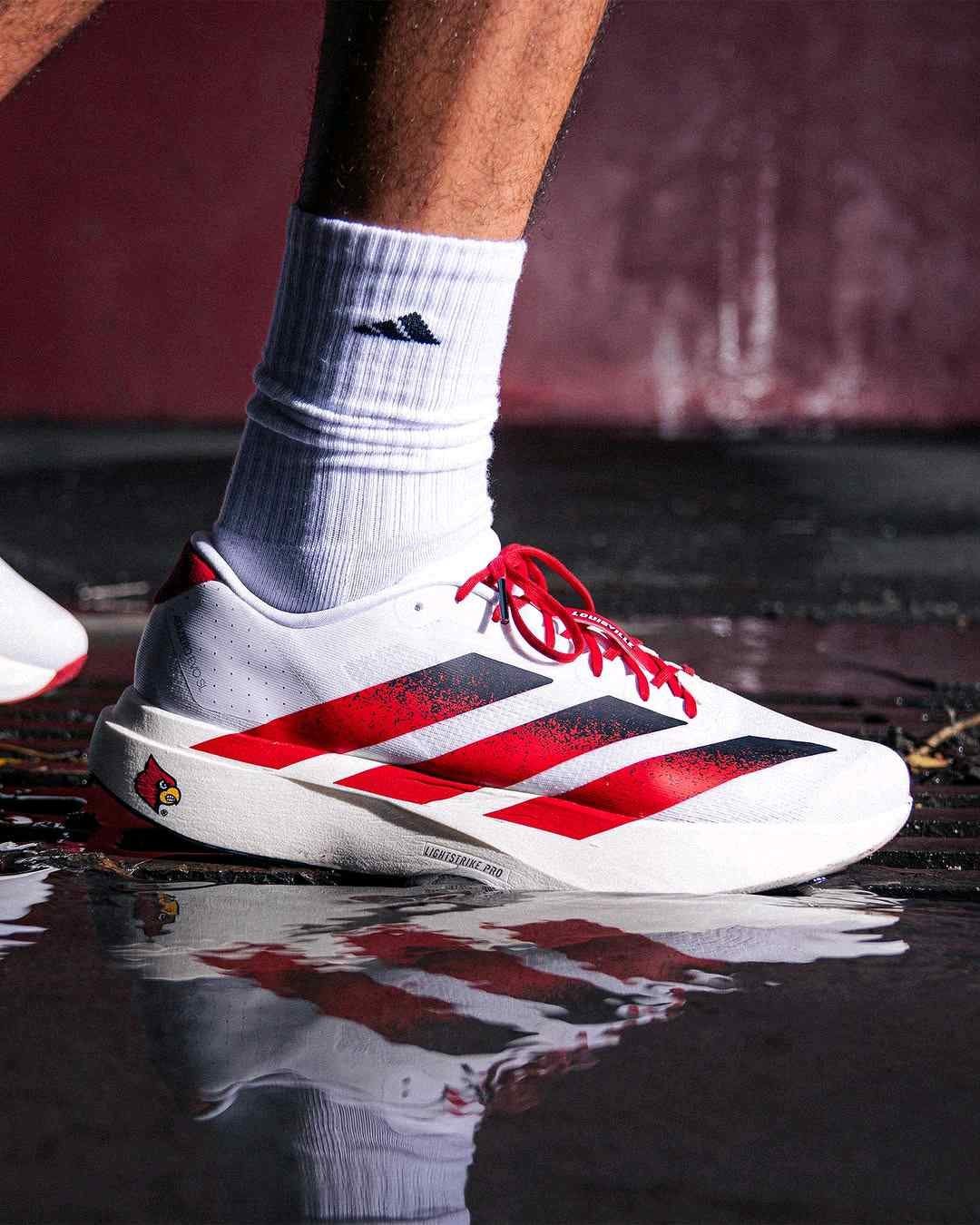 adidass Adizero Evo SL Louisville Cardinals