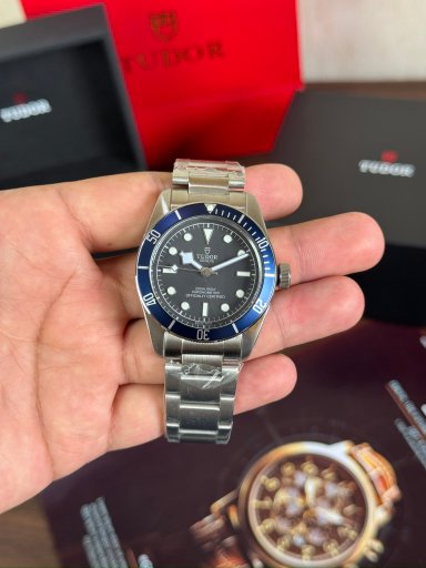Tudor Black Bay Blue Bezel